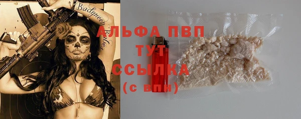 твердый Корсаков