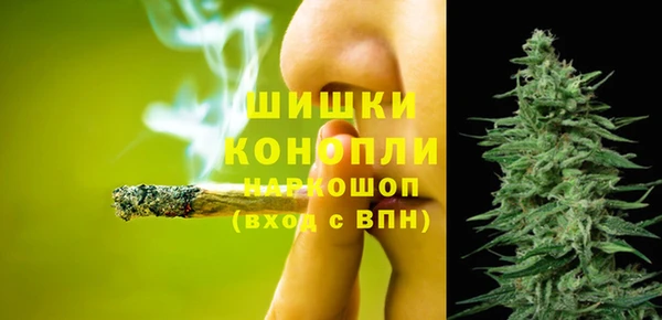 твердый Корсаков
