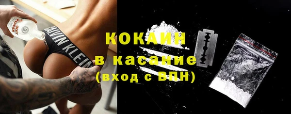 твердый Корсаков