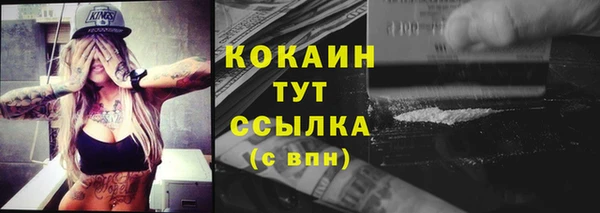 твердый Корсаков