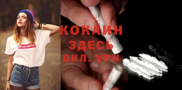 мдпв Коряжма