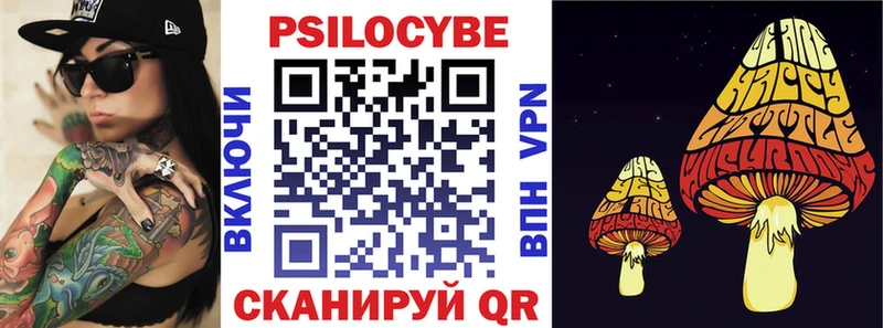 наркошоп  Ядрин  Псилоцибиновые грибы мицелий 